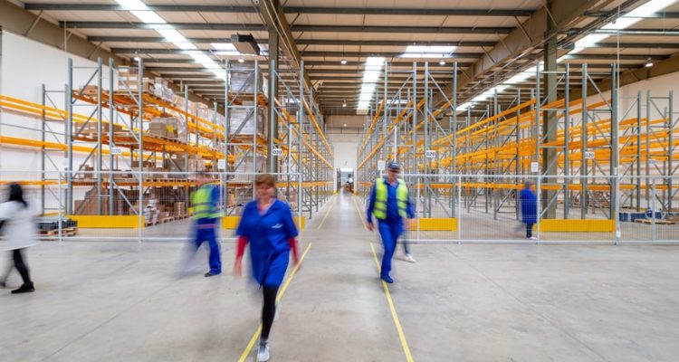 xena logistic azienda